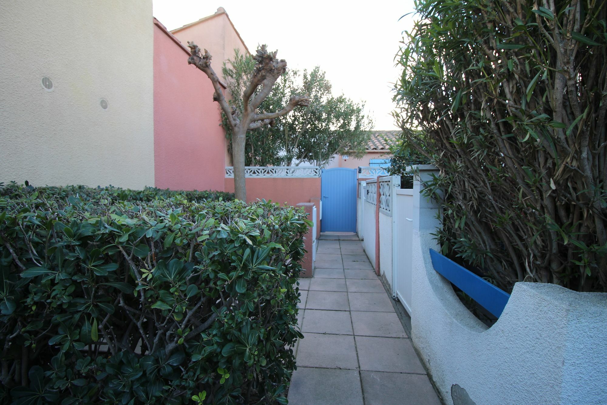Appartement Charmant A Canet En Roussillon 36 M² Piscine Partagee ภายนอก รูปภาพ